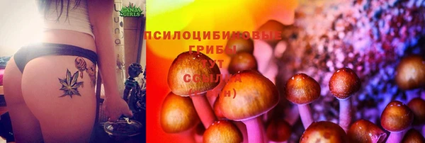 хмурый Алзамай