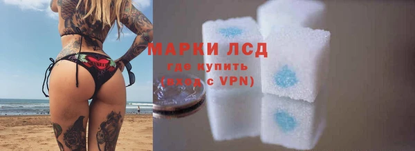 хмурый Алзамай
