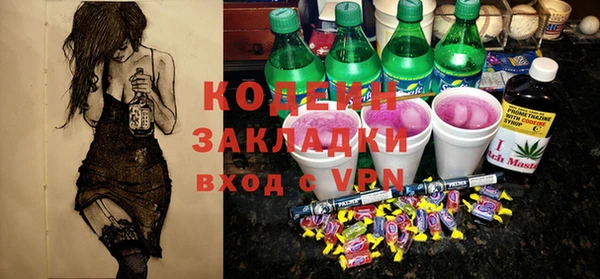 хмурый Алзамай