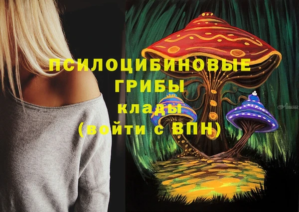 СК Алексеевка