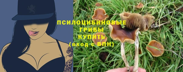 СК Алексеевка