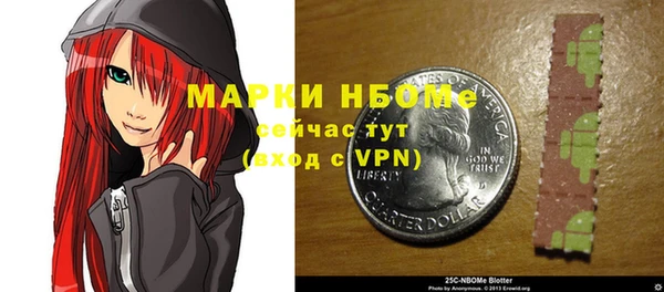 хмурый Алзамай