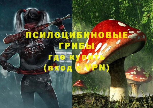 СК Алексеевка