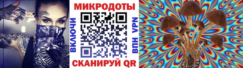 где продают наркотики  Новая Ладога  Псилоцибиновые грибы MAGIC MUSHROOMS 